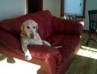 Kerry Joe's album, Profile Pictures