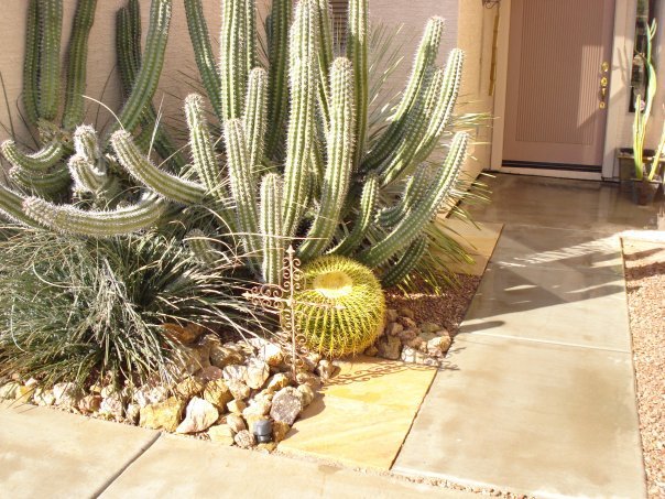 Greg Morris' album, Desert Fauna