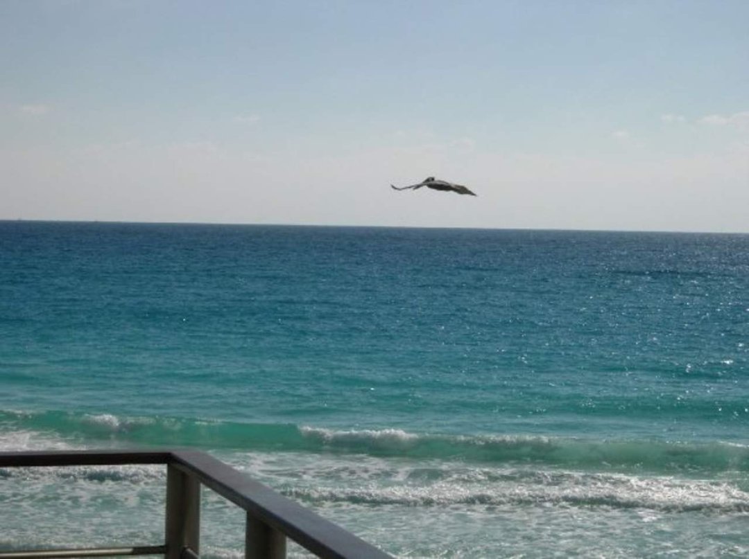 Tom Scott's album, Cancun 2009