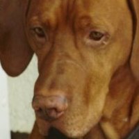 Kerry Benson's album, Profile Pictures