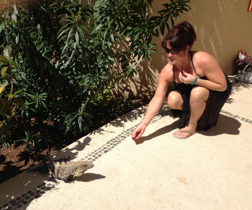 Kim MacPhee's album, Mobile Uploads