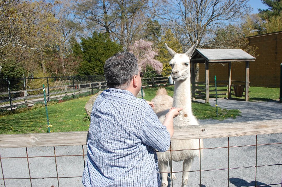 Chris Dix's album, Capron Park Zoo