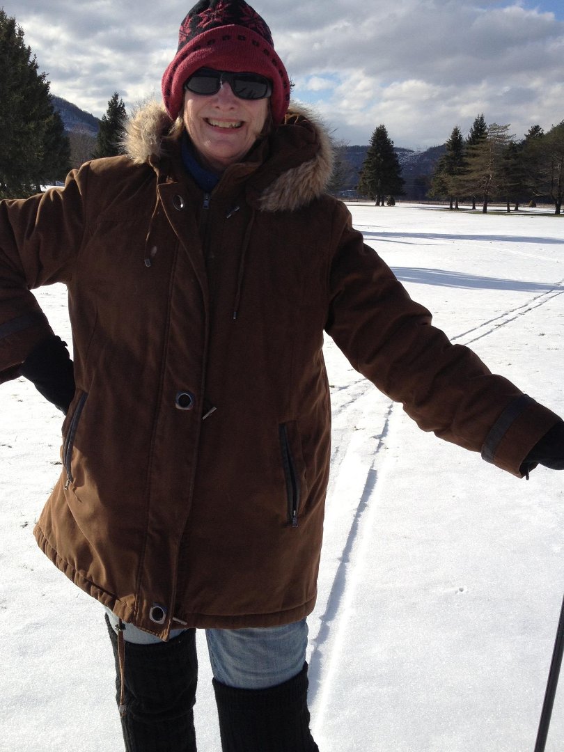 Shelagh Krueger's album, Mobile Uploads