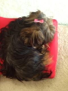Catherine Freeman's album, The Weather Channel for iPhone Photos