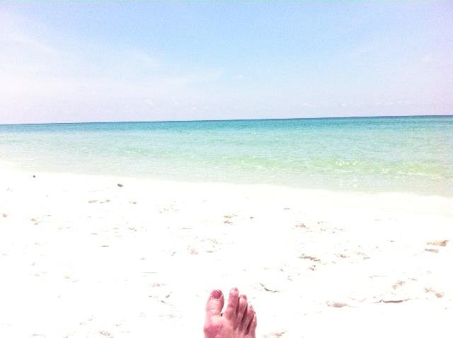 Holly Krafka's album, Florida 2013