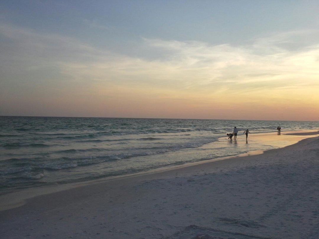 Nancy Mesenbrink's album, Cover Photos