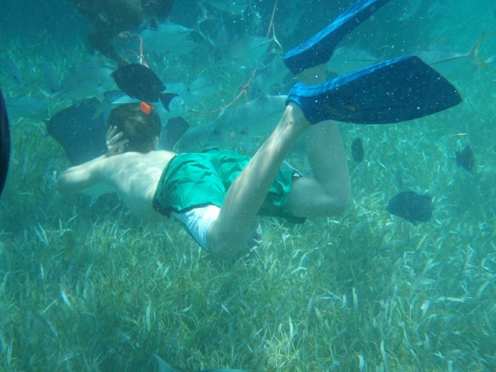 Scott Avery's album, Belize April 2010