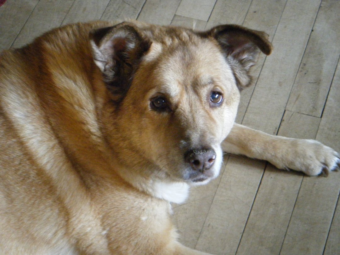 Peggy Kusik's album, Profile Pictures