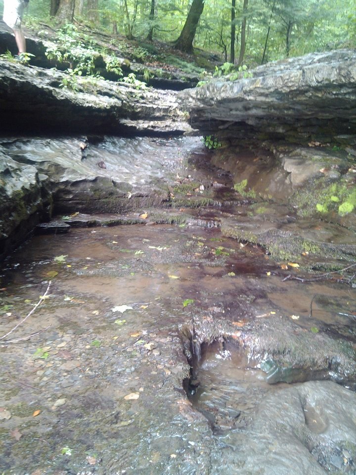 Edward Tryon's album, Tinkers Falls, NY