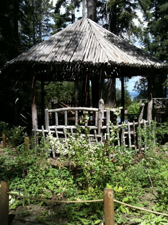 Cindy Johnson's album, Mobile Uploads