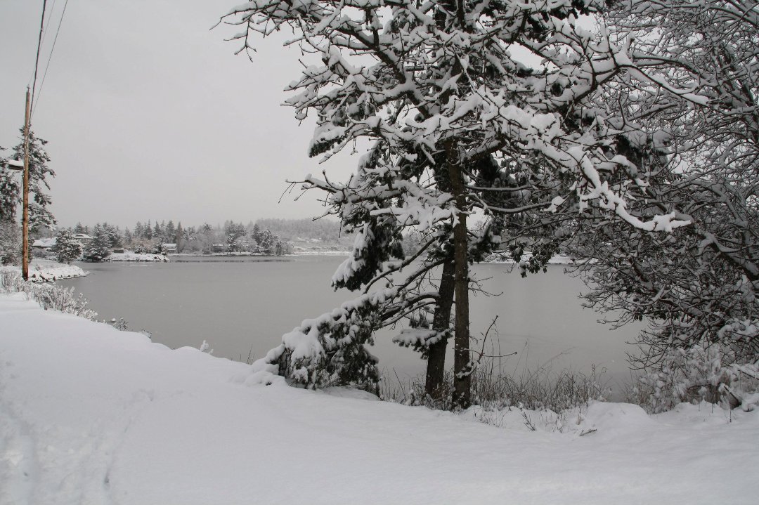 Irene Simons' album, spring in victoria