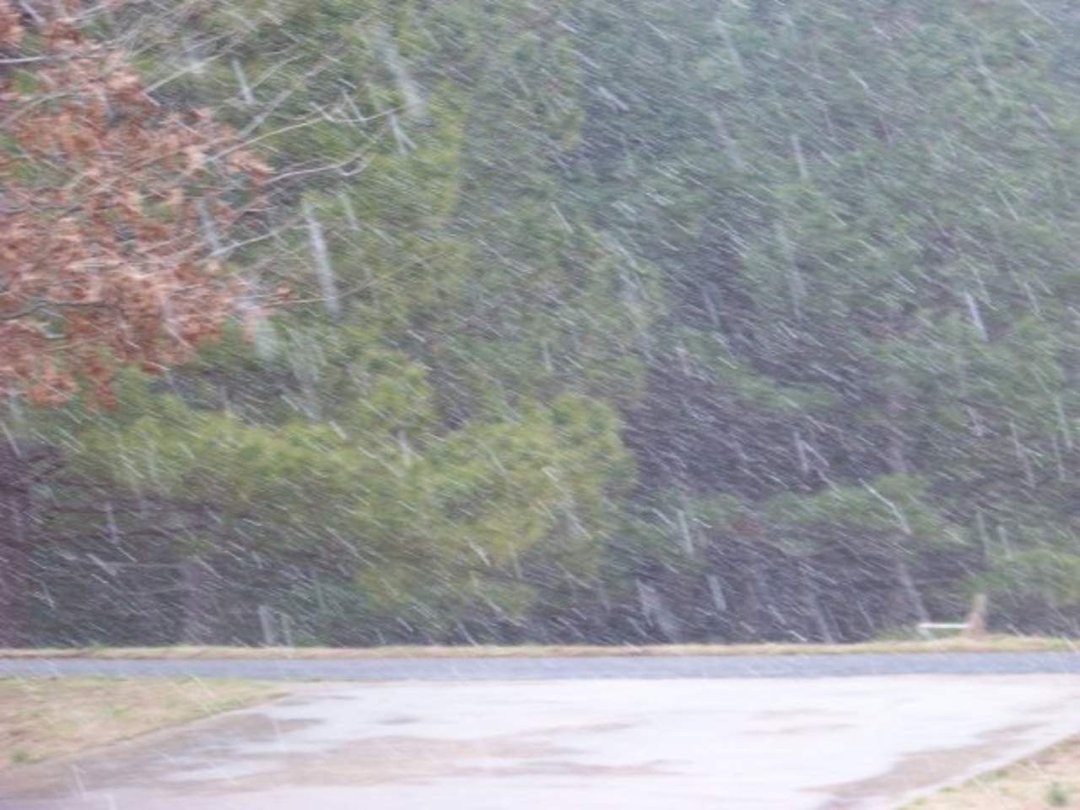 Gary Gardner's album, Snow