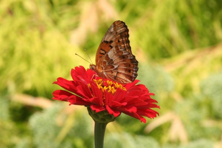 Floyd Parrish's album, Summer '10