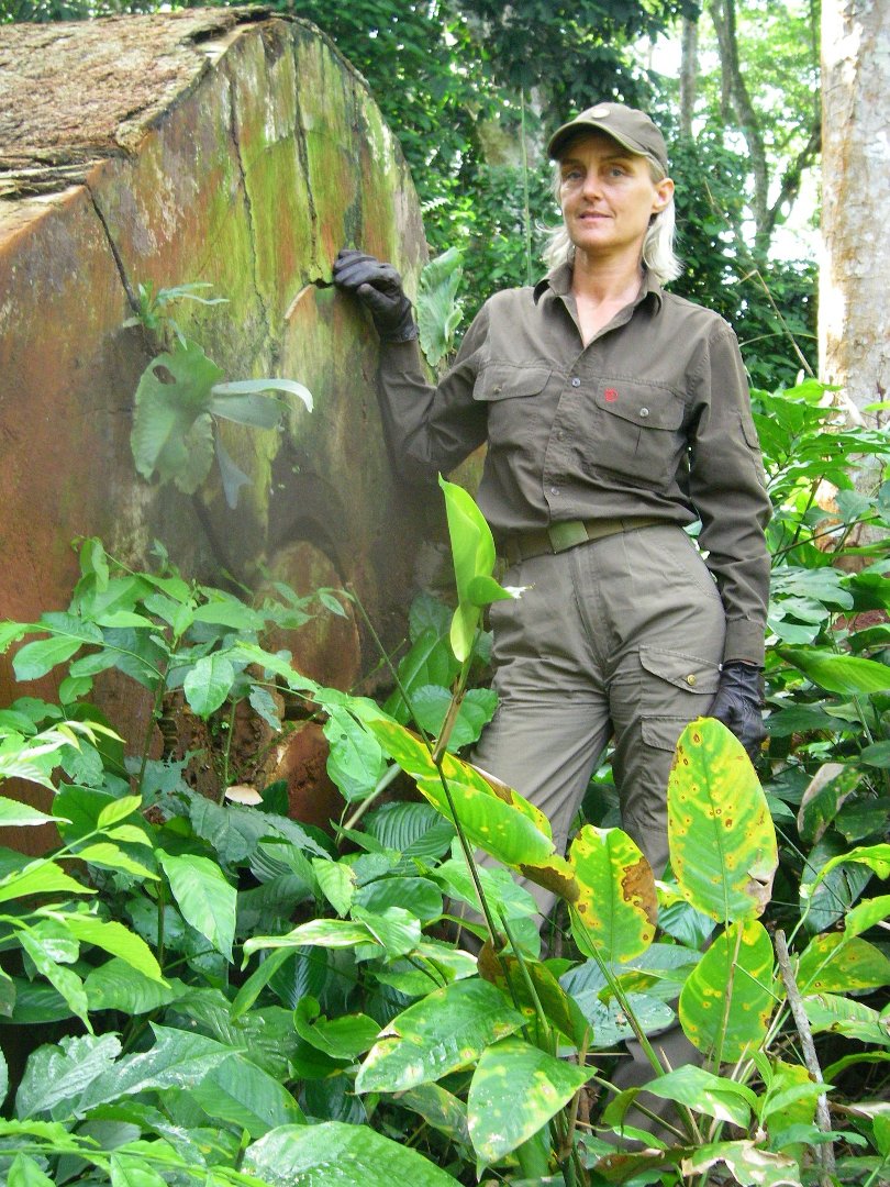 Jette Vestergaard's album, Profile Pictures