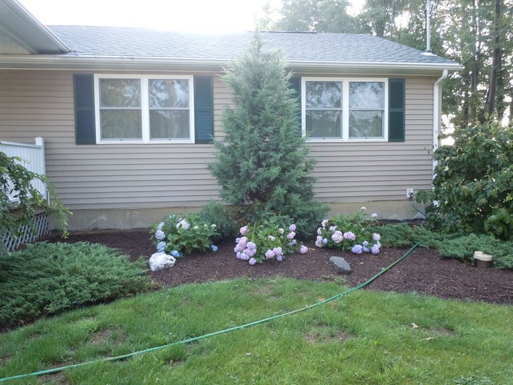 Paul Daigle's album, July 15, 2011