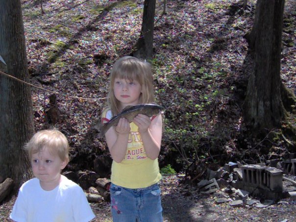 Cheryl Stephens' album, Profile Pictures