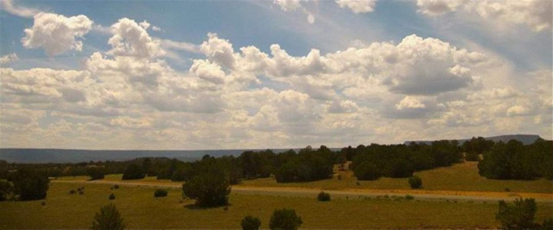 Arthur King's album, Train somewhere in Colorado/New Mexico
