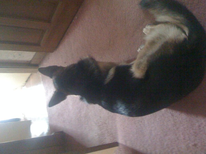 Bruce Clain's album, Profile Pictures