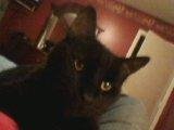 Nancy Bunt's album, Timeline Photos