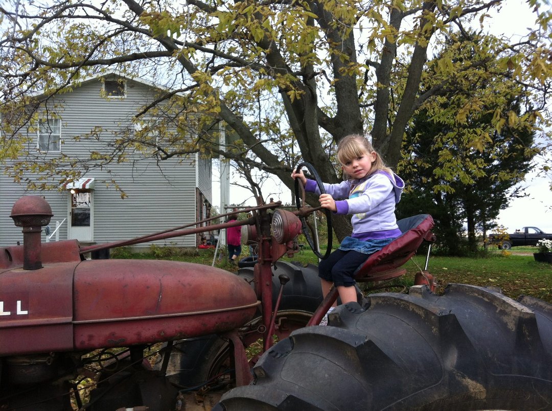 Debbie Lavacki's album, Cover Photos