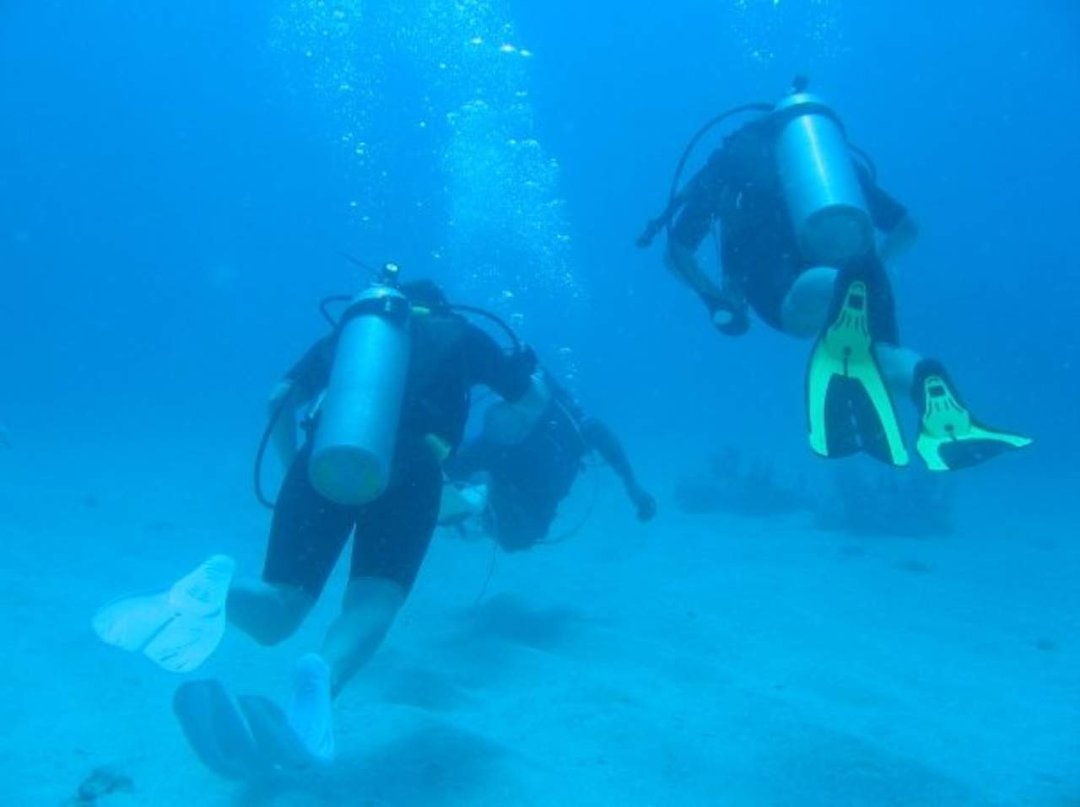 Steven Clem's album, St Maarten Diving