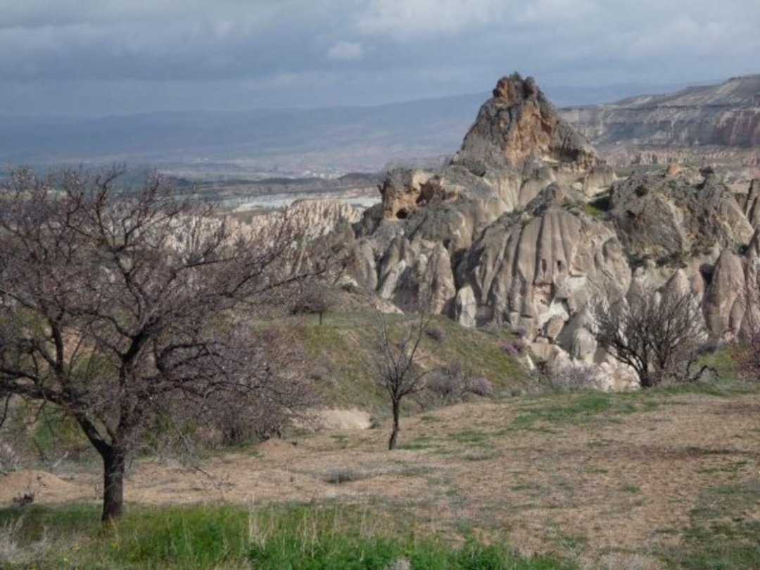 Tracy Cunningham's album, turkey