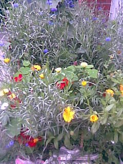 Susan Gibbons 's album, Mobile Uploads