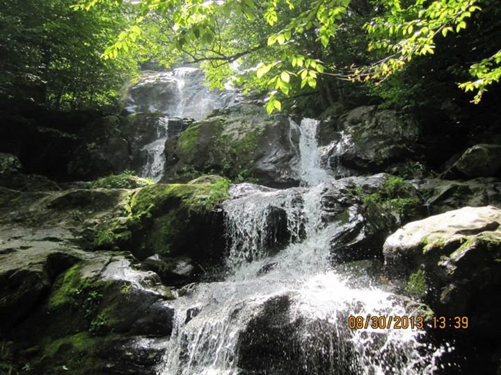 Sandra Howard's album, Cover Photos