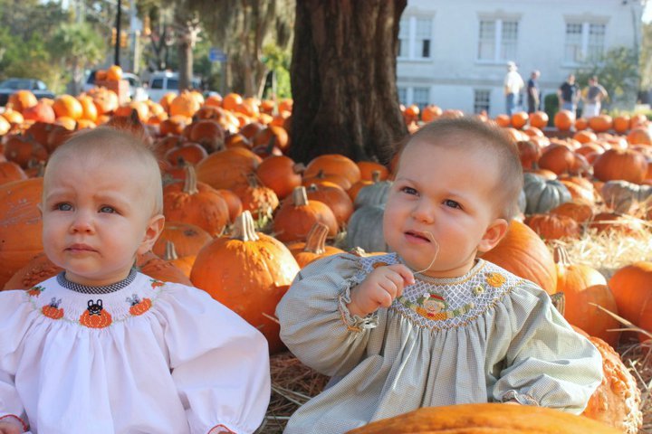 Davis Collins' album, Collins at the Pumpkin Patch