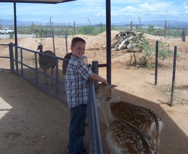 LINDA Dove-Aller's album, Arizona Trip