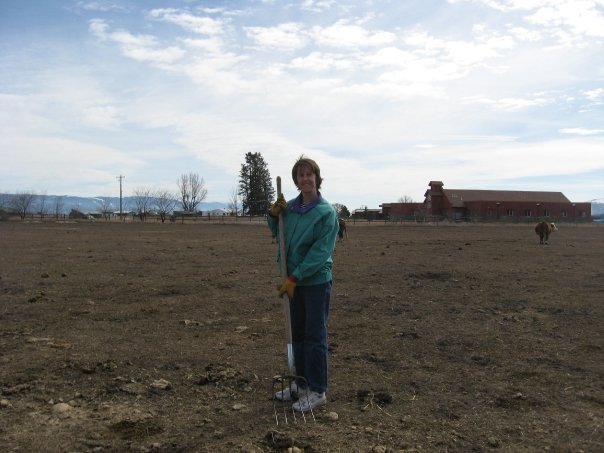 Chris McCormick's album, Light house gardening