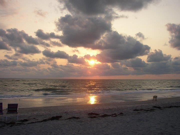Randee Van Vleet's album, Sanibel