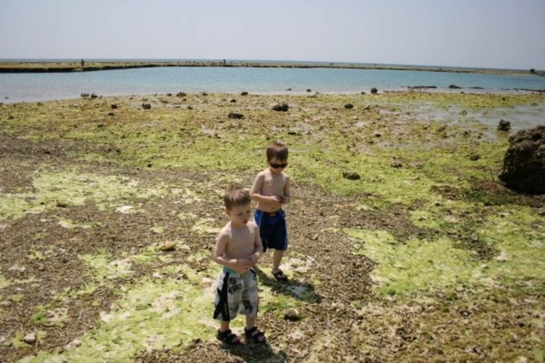 Dan Arpan's album, Okinawa