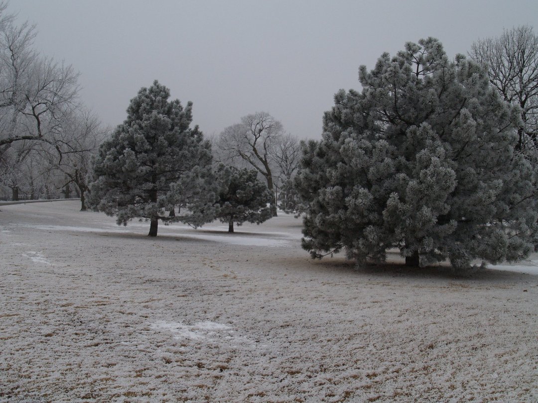 Brian Beebe's album, Riverside snowfall