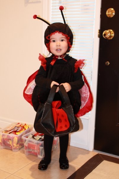 T Chen's album, Halloween 2008
