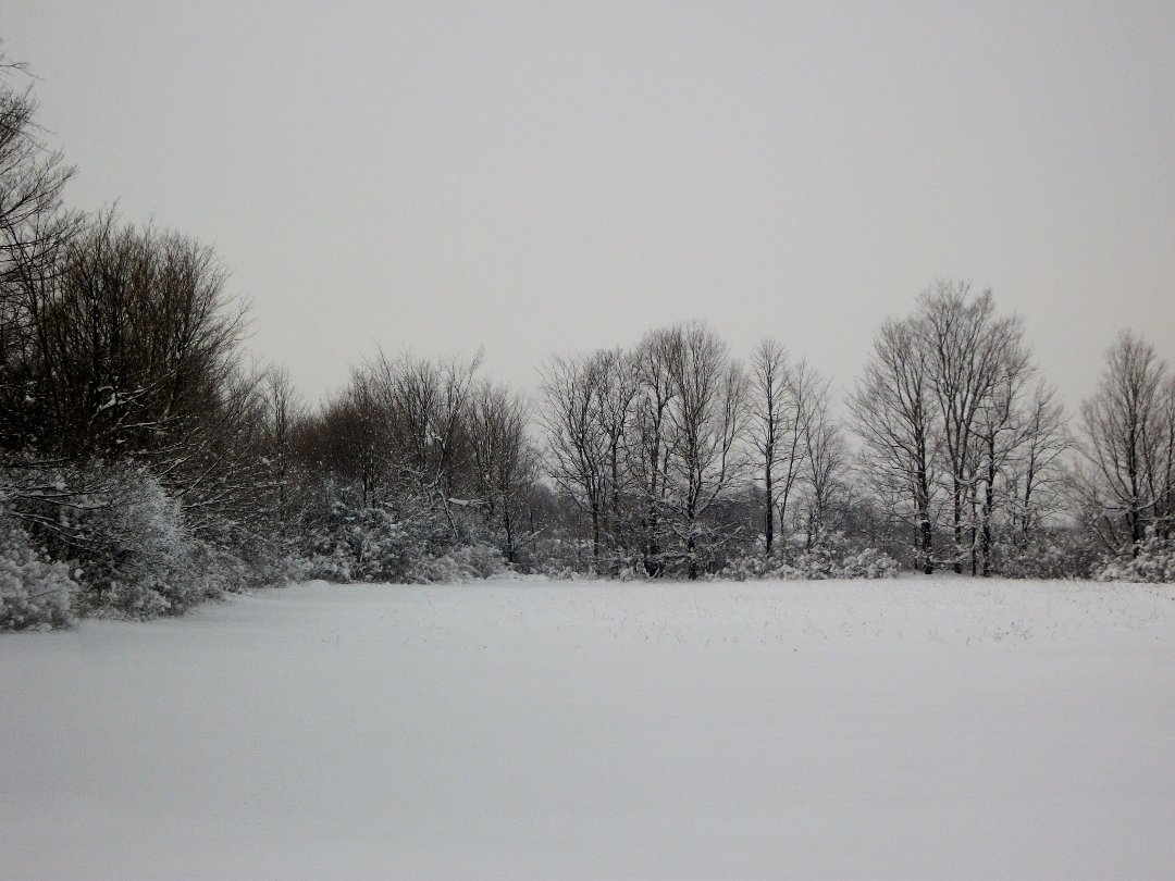 Dayle Porter's album, Cover Photos