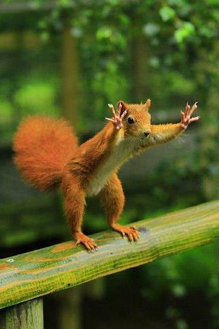 Sandra Cope's album, Timeline Photos