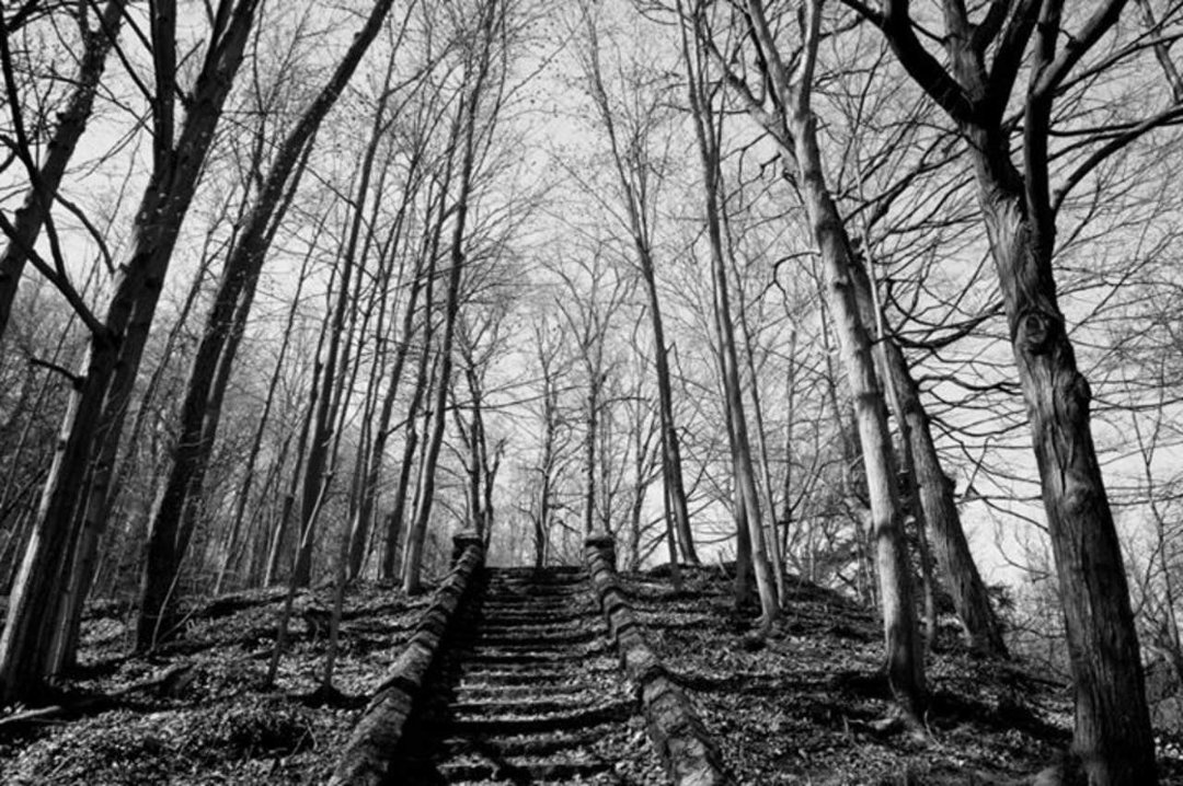 myron holmes' album, Cover Photos