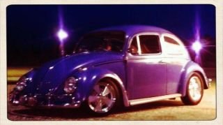 Steve Smart's album, Cover Photos