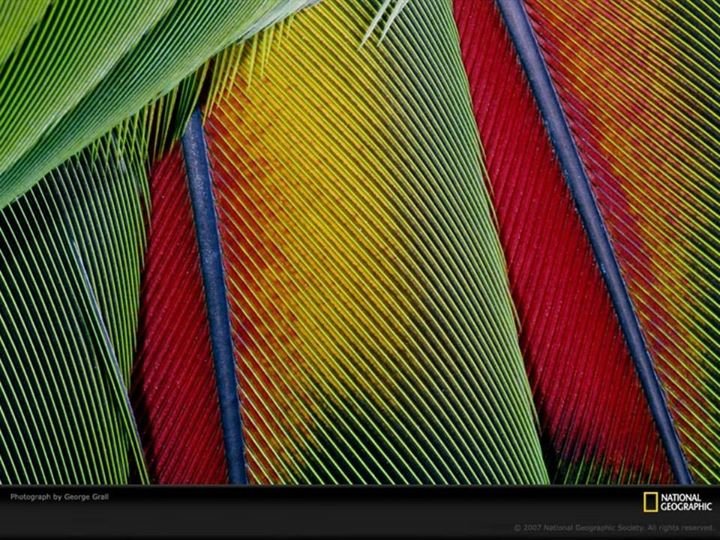 Fran Brown's album, Trip to San Diego and Deserts