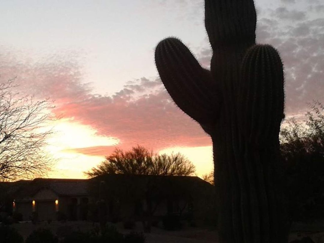 Dawn Becthold Muench's album, Mobile Uploads