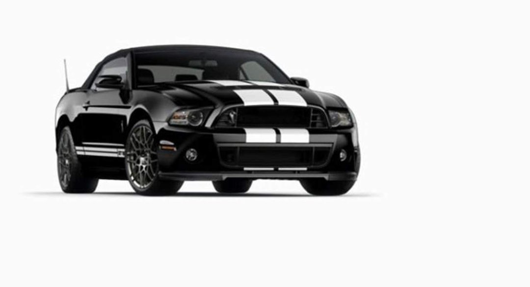 David Bucher's album, GT 500 Shelby 500 For Sale