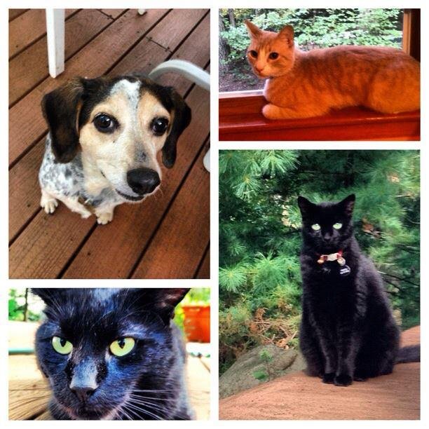 Janet Baldasare's album, iOS Photos