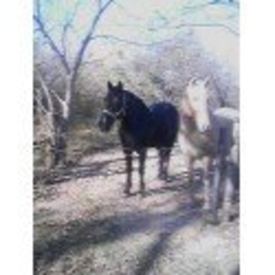 Tracy Morris' album, pic