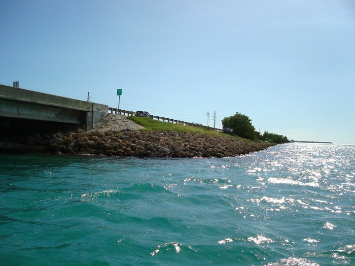 Alan Akers' album, Key West  Sept. 2010