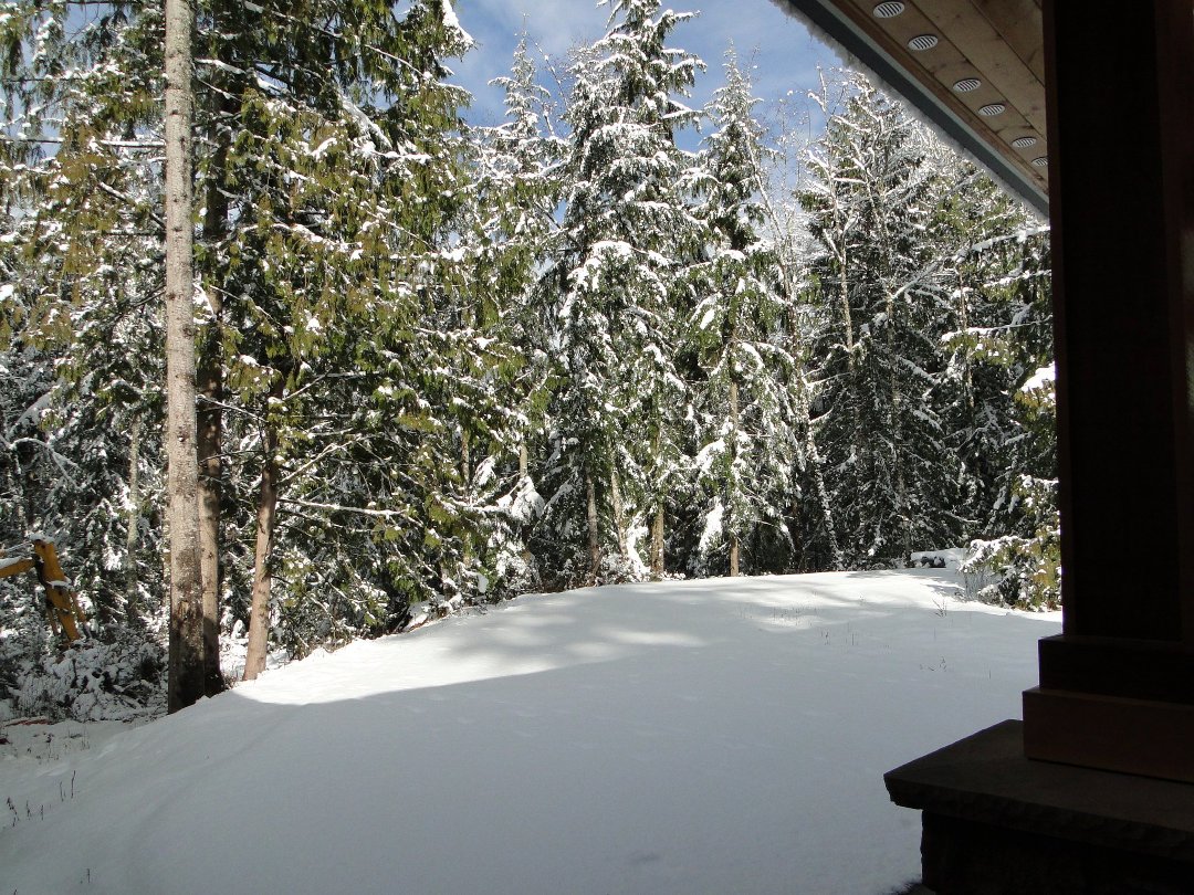 Coralee Green's album, Snow 2/2011