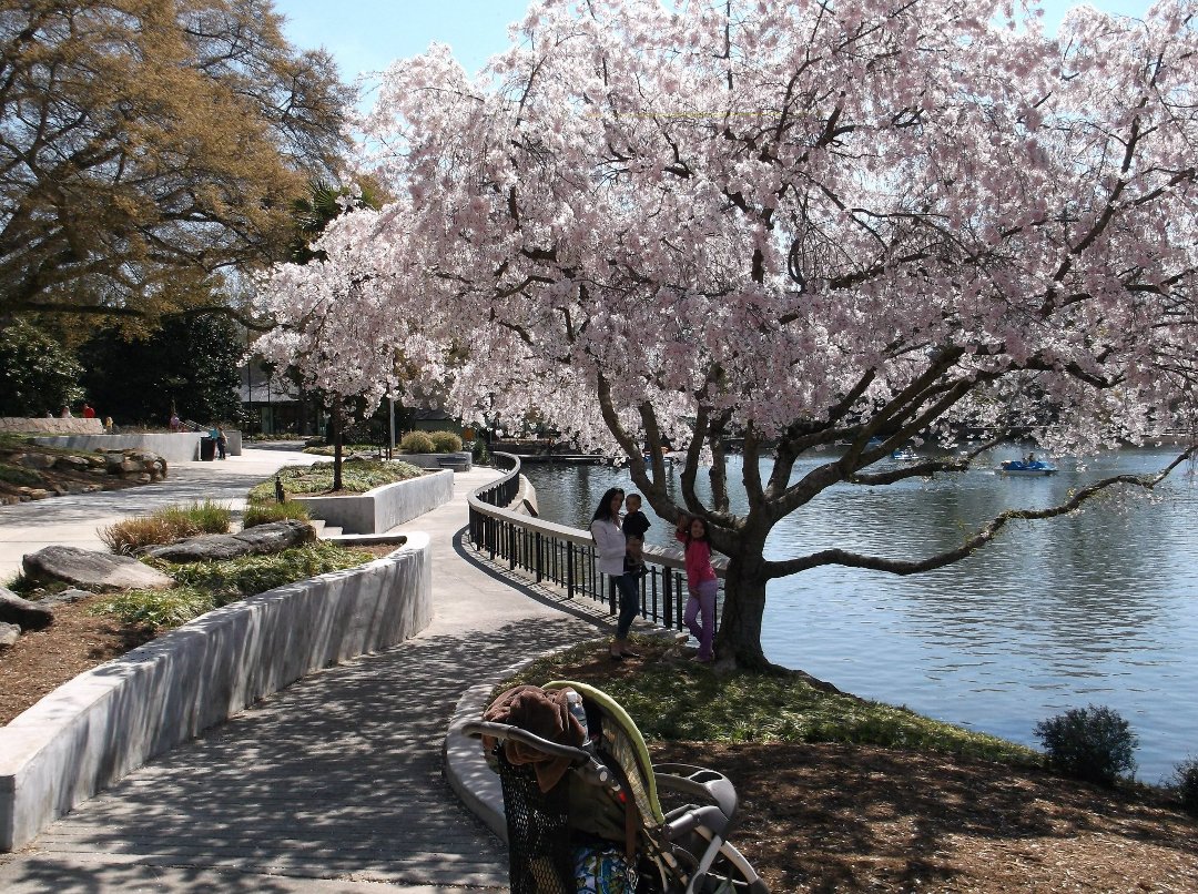 Zoe Underwood's album, Pullen Park