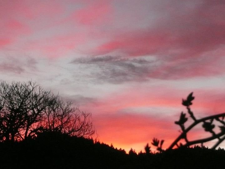 Cheryl Abney's album, sunset around 3/2012