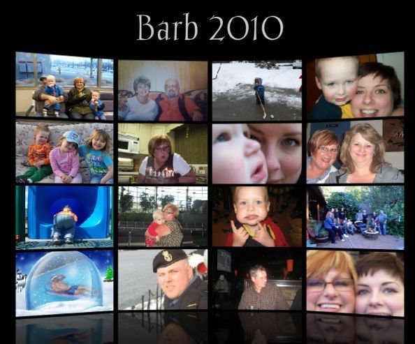 Barbara Shields' album, Profile Pictures