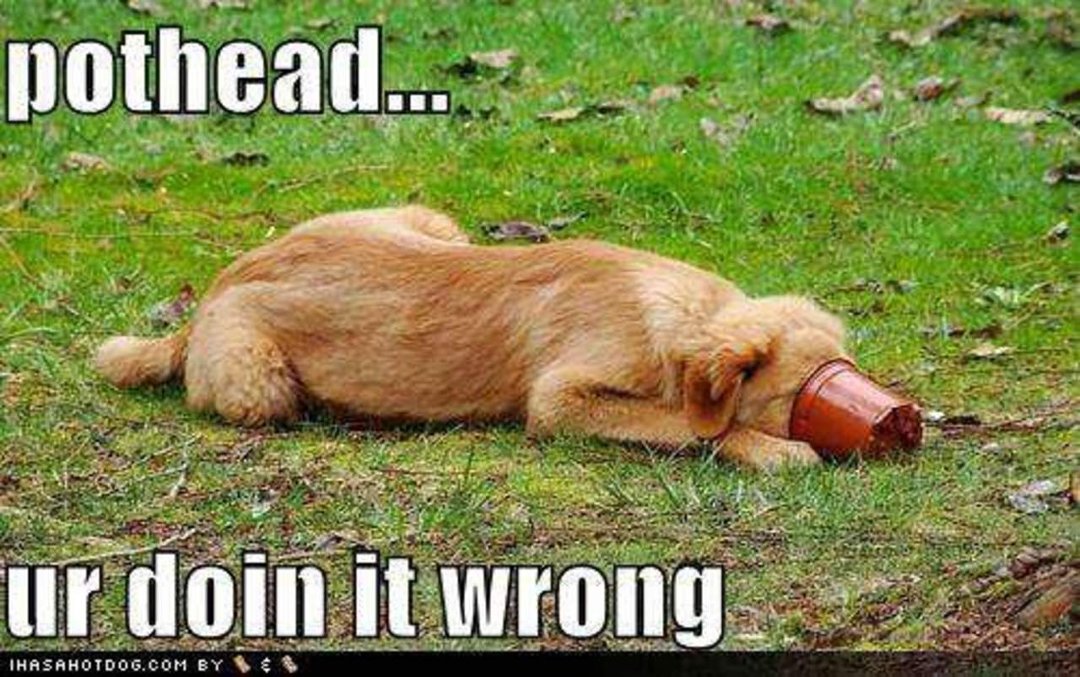 Ken Austin's album, Timeline Photos